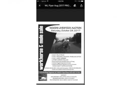 Workhorse &Mule Auction